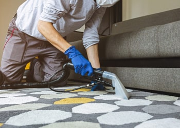 Deep Carpet Shampooing